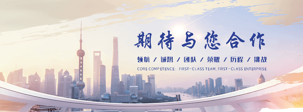保定海狮租赁公司